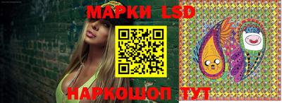 тгк Новозыбков