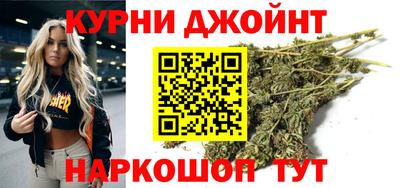 сатива Нальчик