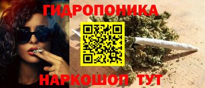сатива Нальчик