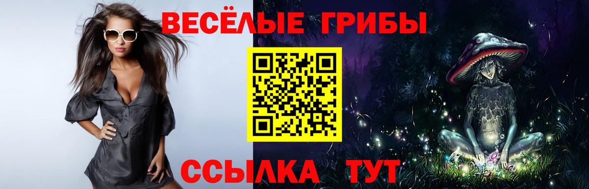 Псилоцибиновые грибы мухоморы  Вход с VPN  купить закладку  Среднеуральск  Псилоцибиновые грибы Cubensis 